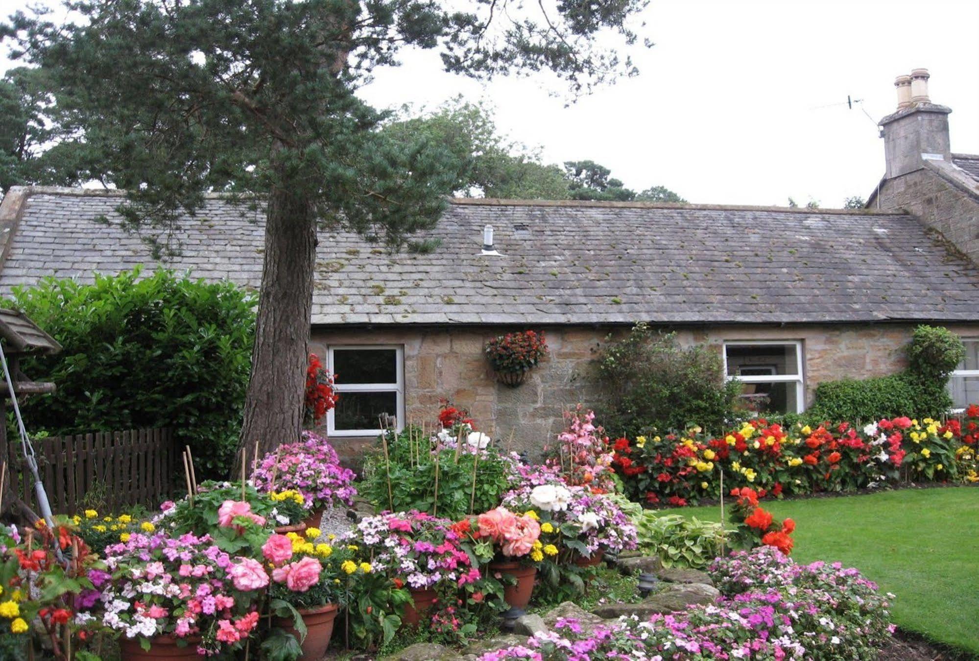 Blackaddie House Hotel Sanquhar Kültér fotó